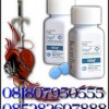 VIAGRA USA 100mg RAJANYA OBAT KUAT PASUTRI YG MEMUASKAN