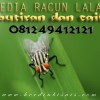 RACUN LALAT BUTIR & CAIR, RESTORAN, RUMAH SAKIT & PETERNAKAN