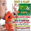  JUAL FRUIT PLANT OBAT PELANGSING TUBUH HP:081390168086 