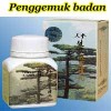 PENGGEMUK