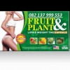 Obat  Pelangsing Fruit & Plant Slimming Capsule Herbal