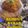 RUMPUT KEBAR