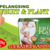 Pelangsing Tubuh Fruit Plant