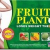 JUAL OBAT PELANGSING BADAN FRUIT & PLANT
