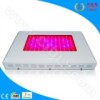144x3w LED Grow Lights