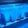 27W LED Aquarium Lights Strips (CDL-SZ27W)
