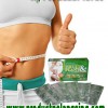 PRODUCT PELANGSING ( FRUIT & PLANT )