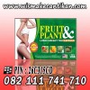 PELANGSING BADAN FRUIT & PLANT