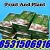 obat pelangsing badan fruit & plant 087823642014