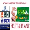 PELANGSING BADAN HERBAL FRUIT&PLANT