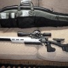 Hammerli AR20ft