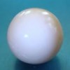 beli mutiara alam dari jenis kerang