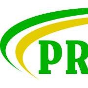 CV. Priskilla Bergerak dalam usaha ekspor kapuk dan produk turunannya seperti bantal, Matras, Kasur, dll.