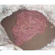 BENGKELDEN AGROBOSNIS Peternak cacingtanah di Jawa Barat, Indonesia.