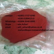 CV. Mitra Sepakat Dragon Blood/Jernang/Xue Jie/Draco