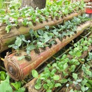 Agrofurniture Star Trading, Co Enerji Russian Oil Gas; Organic Fertilizer; Specialist Door