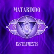MATARINDO INSTRUMENT SALES, SERVICE, RENTAL & JASA PENGUKURAN