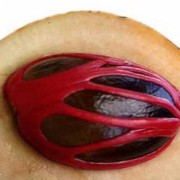 Rempah Berkah Bumbu Masakan Khas Sunda dan bahan baku