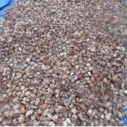 UD.AsianJayaTama .......................