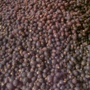 PD.PUTRA AULIA PERDAGANGAN