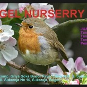angel nurserry