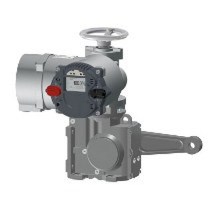 CM Rotary Actuator with Turn-Trough Lever Gear Machanism