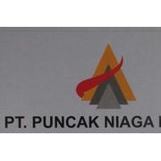 PT. PUNCAK NIAGA DUNIA Kami PT. PUNCAK NIAGA DUNIA adalah DISTRIBUTOR RESMI pelumas merk PANAOIL yang berlokasi di kota Bekasi Jawa Barat.adapun Produk - produk yang kami miliki adal