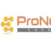 PT. PRONUSA ENERGI