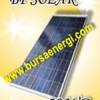 Modul Surya BP Solar 50WP