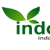 indotani.com - kami menjual tabulampot dan bibit buah unggul