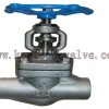 Forged globe valve SW 
