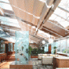Skylight blinds