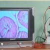 Mikroskop terhubung TV/ PC/ Laptop