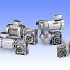 MIKIPULLEY, RW Series Hollow Shafts Speed Changers and Reducers