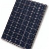 solar cell 50 Wp polycrystalline