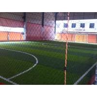 Rumput Futsal
