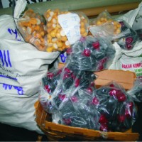 GAGANG STEMPEL FLASH 