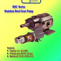 Roper Stainless Gear Pump