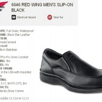 REDWING 6646