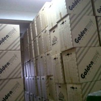 RING KAWAT SPOOL ATAU ROLL GOLDEN WIRE