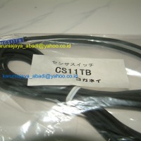 Reed Switch CS11TB with LED, 2 lead wire