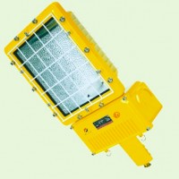 Lampu Jalan / PJU Explosionproof BAT 53