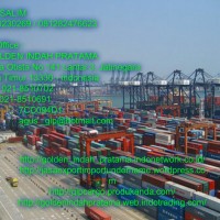 Jasa Pengurusan import Door to Door