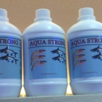 Obat Aqua Strong Alami Disinfektan Tambak Ikan dan Udang