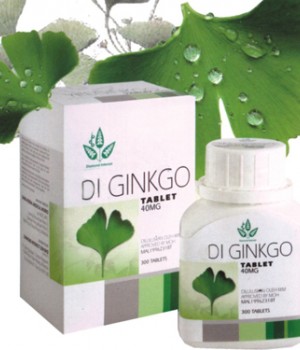 GINKGO PLUS (EKSTRAK GINGKO BILOBA) - MELANCARKAN ALIRAN DARAH