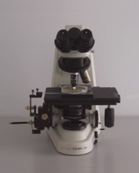 Tetrad Dissection microscope Ci-L 