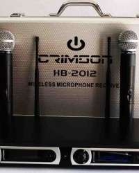 microphone wireless 2012