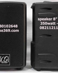 speaker 8"