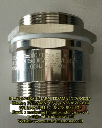 Cable Gland Non Armoured Explosion Proof Stainless Steel