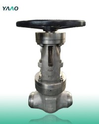 BW A182 F347 Forged Gate Valves